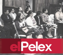 El juez Moto prendió los motores